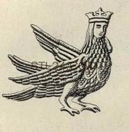 ANIMAL_0133